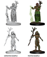 D&D: Nolzur's Marvelous Miniatures - Human Female Druid