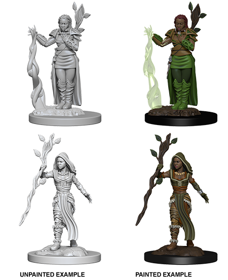 D&D: Nolzur's Marvelous Miniatures - Human Female Druid