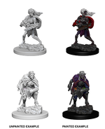 D&D: Nolzur's Marvelous Miniatures - Drow