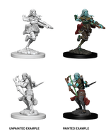 D&D: Nolzur's Marvelous Miniatures - Air Gensai Female Rogue