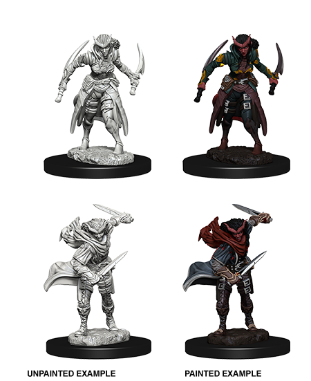 D&D: Nolzur's Marvelous Miniatures - Tiefling Female Rogue