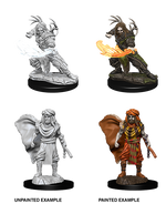 D&D: Nolzur's Marvelous Miniatures - Human Male Druid