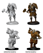 D&D: Nolzur's Marvelous Miniatures - Goliath Male Fighter