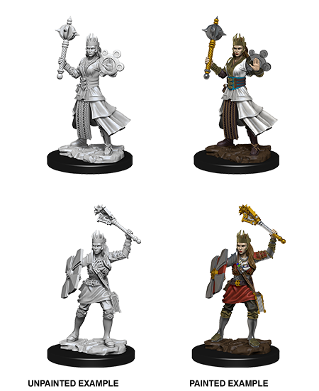 D&D: Nolzur's Marvelous Miniatures - Human Female Cleric