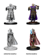 D&D: Nolzur's Marvelous Miniatures - Human Ranger & Moon Elf Sorcerer