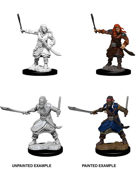 D&D: Nolzur's Marvelous Miniatures - Bandits