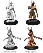 D&D: Nolzur's Marvelous Miniatures - Human Female Druid