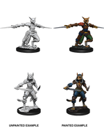 D&D: Nolzur's Marvelous Miniatures - Tabaxi Female Rogue