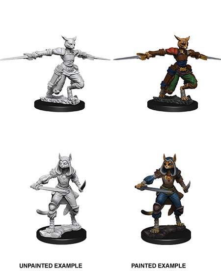 D&D: Nolzur's Marvelous Miniatures - Tabaxi Female Rogue