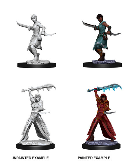 D&D: Nolzur's Marvelous Miniatures - Human Female Rogue