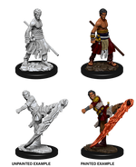 D&D: Nolzur's Marvelous Miniatures - Half-Elf Male Monk