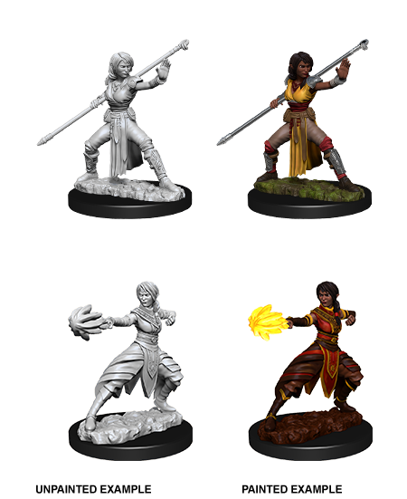 D&D: Nolzur's Marvelous Miniatures - Half-Elf Female Monk