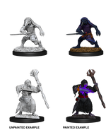 D&D: Nolzur's Marvelous Miniatures - Kenku Adventurers