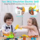 Take Apart Dinosaur Toys DIY Dinosaur Construction Building Block Assembly Toys with Electric Drill for Kids 3-7 Year Old Learning Educational Gift