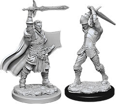 D&D: Nolzur's Marvelous Miniatures - Male Human Paladin