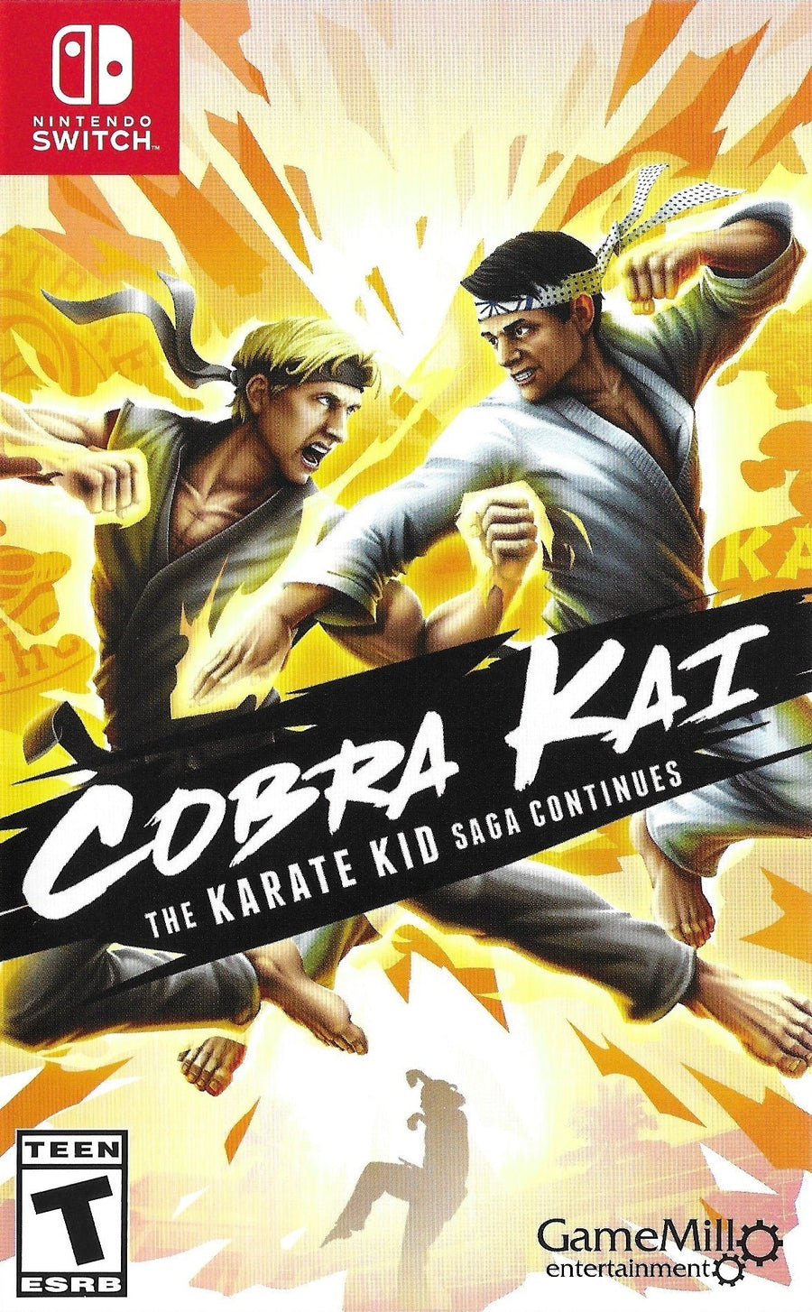 Cobra Kai: The Karate Kid Saga Continues (Nintendo Switch)