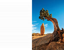 The National Parks: An Inspirational Journal