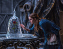 Beauty and the Beast: The Poster Collection