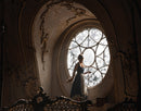 Beauty and the Beast: The Poster Collection