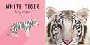 The Safari Circle: Big Cats