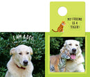 The Safari Circle: Animal Pals