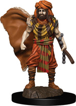 D&D: Icons of the Realms - Human Druid Male Premium Figure