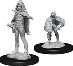 D&D: Nolzur's Marvelous Miniatures - Darkling Elder & Darklings