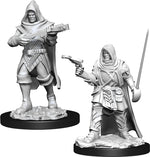 Pathfinder: Deep Cuts - Human Rogue Male