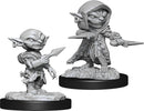 Pathfinder: Deep Cuts - Goblin Rogue Male