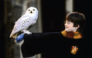 Harry Potter: The Postcard Collection