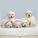 12 Colors Whelping Puppy ID Collars Adjustable Double-Sided Pet ID Bands