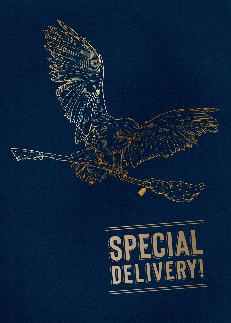 Harry Potter: Hedwig Signature Pop-Up Card