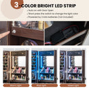 Wall Mounted Jewelry Cabinet with 3-Color Lights