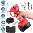 Cordless Electric Pruning Shears 21V with 2 Batteries