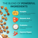Pet Intestinal Probiotic Chewable Tablets