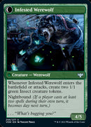 Infestation Expert // Infested Werewolf (VOW-206) - Innistrad: Crimson Vow: (Double Faced Transform)