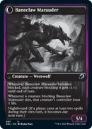 Baneblade Scoundrel // Baneclaw Marauder (DBL-085) - Innistrad: Double Feature: (Double Faced Transform) Foil