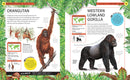 Jungle Animals