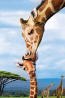 Puzzle: Save Our Planet Puzzles - Giraffes