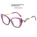 Fashionable Womens Cat-eye Sunglasses