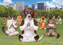 Puzzle: Yoga Dogs & Cats Collection - Yoga Park