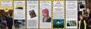 Harry Potter: Hufflepuff Magic