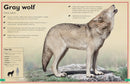 The Magnificent Book of Dangerous Animals