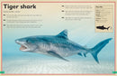 The Magnificent Book of Dangerous Animals