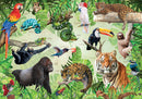 Rainforest Animals