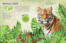 Rainforest Animals