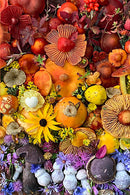 Flowers and Fungi Boxed Note Cards