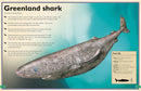 The Magnificent Book of Sharks