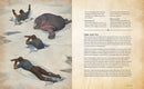 The Elder Scrolls: The Official Survival Guide to Tamriel