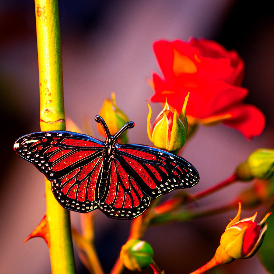 Monarch Butterfly Enamel Pin | 